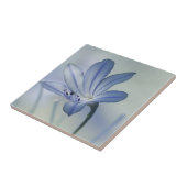 Frisches blaues Blumen-Foto Fliese (Seite)