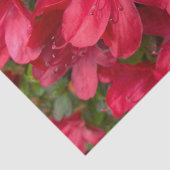 Frisches Blumenzapier Seidenpapier (Detail)