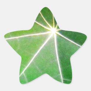 Frisches gesundes Geschenk des GRÜNEN GRÜNEN Stern-Aufkleber