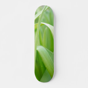 Frisches grünes Pflanzenlaub Skateboard