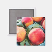 Frisches Obst - Pfirsiche Magnet (Vorderseite/Rückseite)
