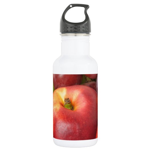 Frisches Obst Trinkflasche (Vorderseite)