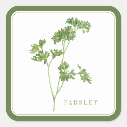 FRISCHES PARSLEY Große Aufkleber auf dem Platz - G (Vorderseite)