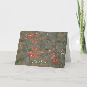 Frisches Red Berries Winter Nature Fotografy Dankeskarte