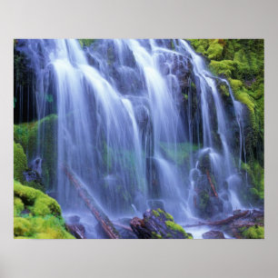 Frisches Wasser im Frühjahr fließt über Moos Poster
