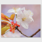 Frisches Weißes Kirschblüten Niedlich Sakura Schön Geschenkpapier (Flach)