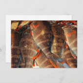 Frischfischkarte (Vorne/Hinten)