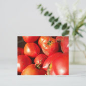 Frischgepflückte Tomaten Postkarte (Stehend Vorderseite)