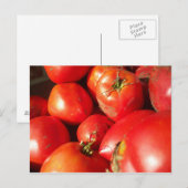 Frischgepflückte Tomaten Postkarte (Vorne/Hinten)