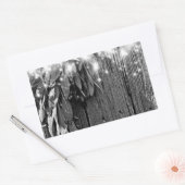 Frischgeschnittene Schnittholz Graustufen Twinkle Rechteckiger Aufkleber (Umschlag)