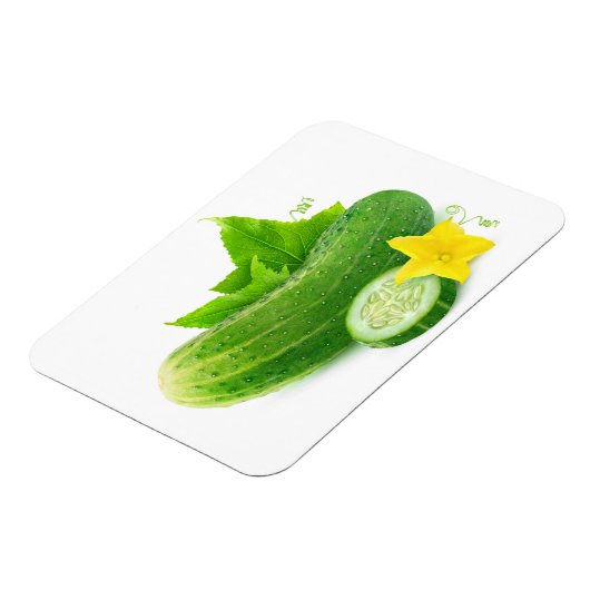 Frischgurke Magnet (Linke Seite)