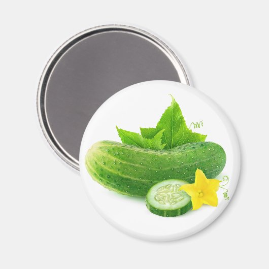 Frischgurke Magnet (Vorderseite/Rückseite)