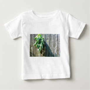 Frischholz Baby T-shirt