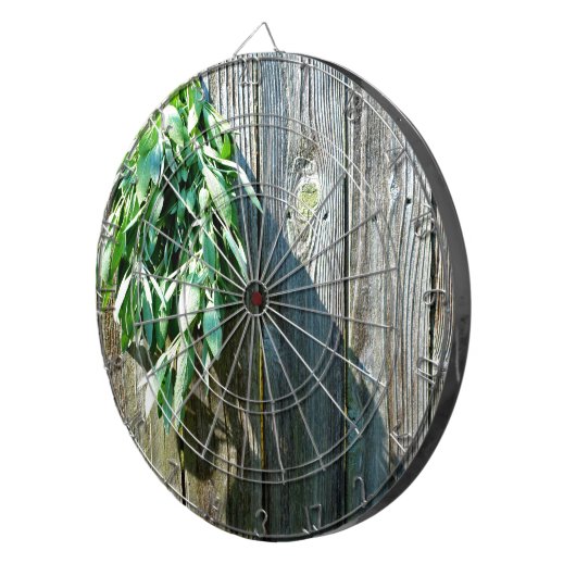 Frischholz Dartscheibe (Vorderseite rechts)