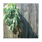 Frischholz Fliese (Vorderseite)