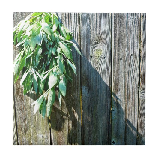 Frischholz Fliese (Vorderseite)