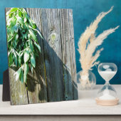 Frischholz Fotoplatte (Seite)