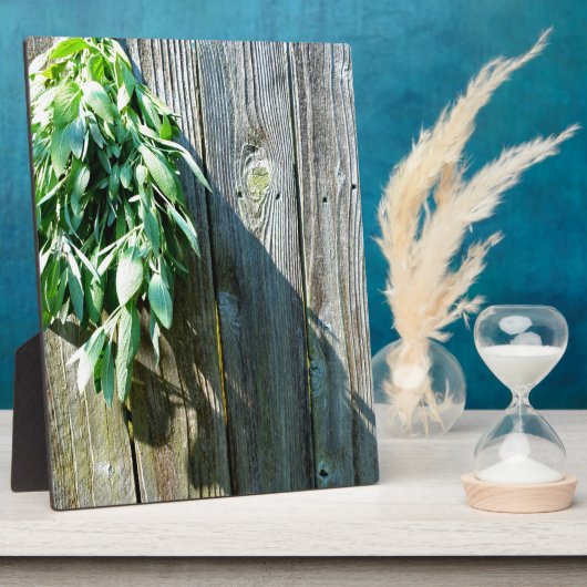 Frischholz Fotoplatte (Seite)