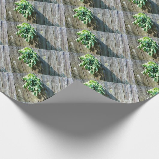 Frischholz Geschenkpapier (Ecke)