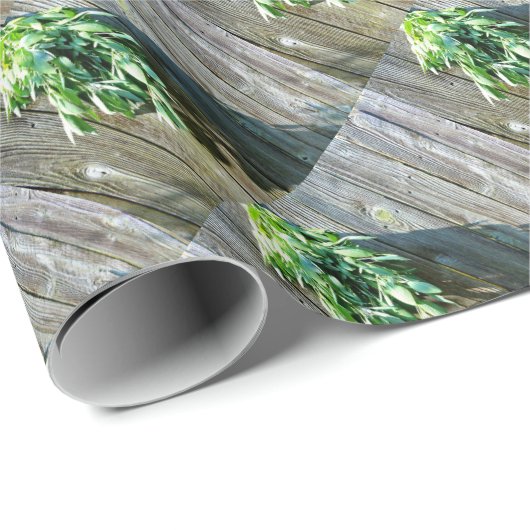 Frischholz Geschenkpapier (Rolleneckpunkt)