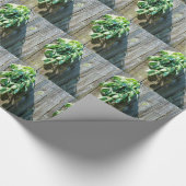 Frischholz Geschenkpapier (Ecke)