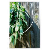 Frischholz Mittlere Geschenktüte (Vorderseite)