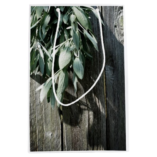 Frischholz Mittlere Geschenktüte (Vorderseite)