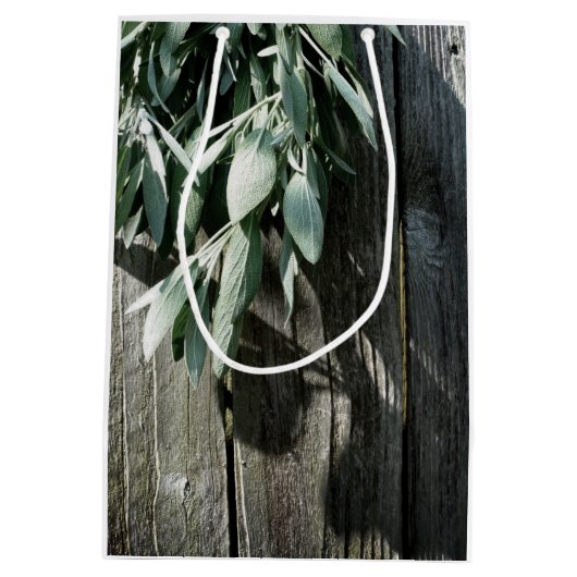 Frischholz Mittlere Geschenktüte (Rückseite)