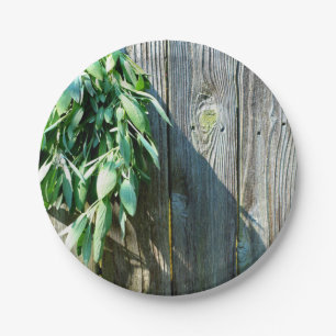 Frischholz Pappteller