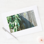 Frischholz Rechteckiger Aufkleber (Umschlag)