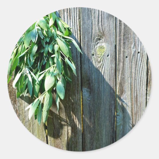 Frischholz Runder Aufkleber (Vorderseite)