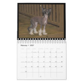 Frischhunde-Kalender 2012 Kalender (Feb 2027)
