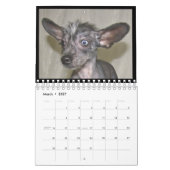 Frischhunde-Kalender 2012 Kalender (Mär 2027)
