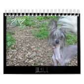 Frischhunde-Kalender 2012 Kalender (Titelbild)