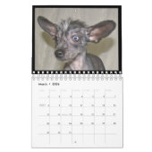 Frischhunde-Kalender 2012 Kalender (Mär 2026)
