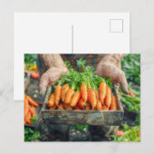 Frischkarotten in Holzkiste Feiertagspostkarte (Vorne/Hinten)