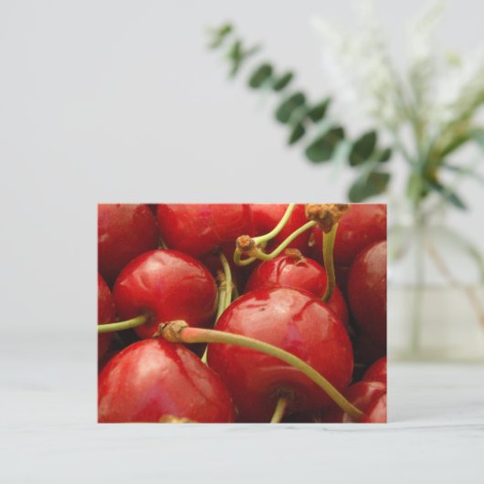 Frischkirschen Postkarte (Stehend Vorderseite)