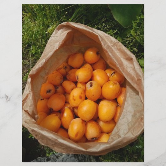 Frischloquette Flyer (Vorne)