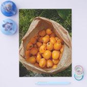 Frischloquette Flyer (Einzeln)