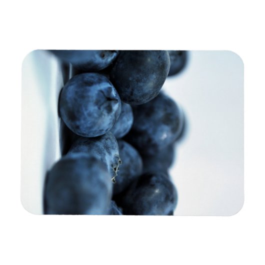 Frischreife Blaubeeren Magnet (Horizontal)