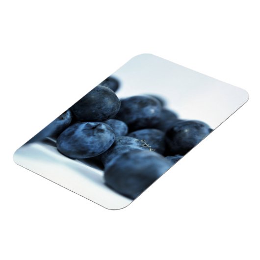 Frischreife Blaubeeren Magnet (Linke Seite)