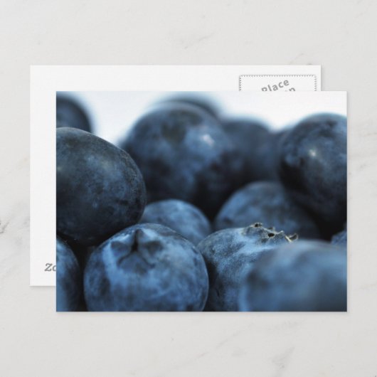 Frischreife Blaubeeren Postkarte (Vorne/Hinten)