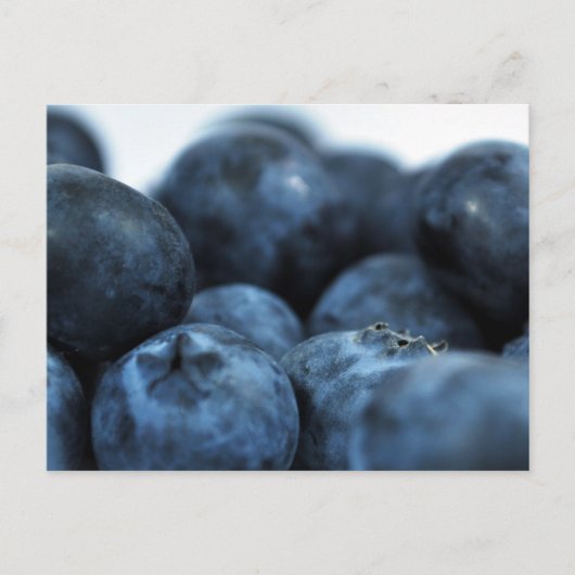 Frischreife Blaubeeren Postkarte (Vorderseite)