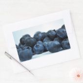 Frischreife Blaubeeren Rechteckiger Aufkleber (Umschlag)
