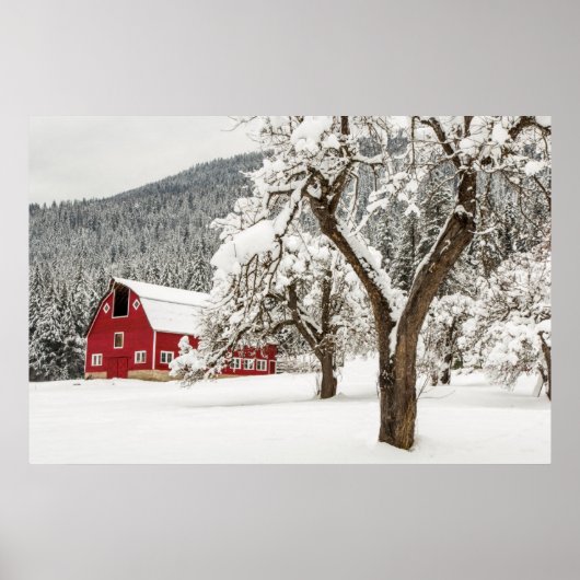 Frischschnee auf roter Scheune Poster (Vorne)