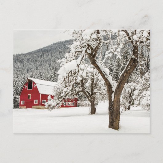 Frischschnee auf roter Scheune Postkarte (Vorderseite)