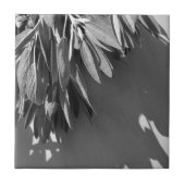 Frischschnitt Fliese (Vorderseite)