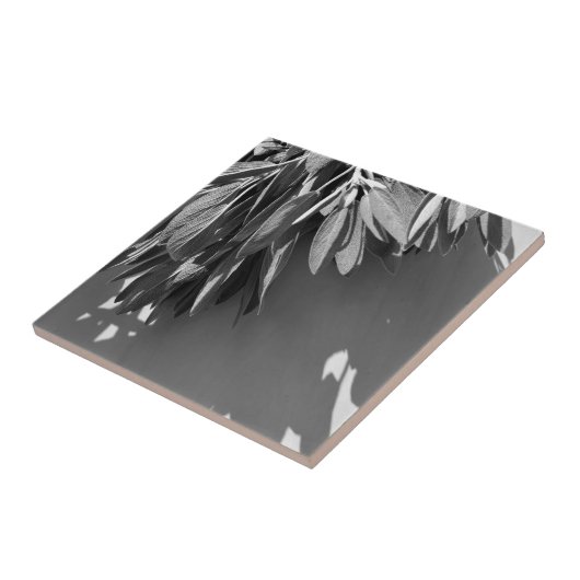 Frischschnitt Fliese (Seite)