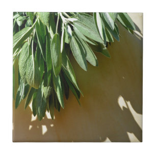 Frischschnitt Fliese