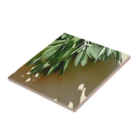 Frischschnitt Fliese (Seite)